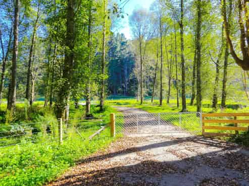  Lot 1, Longacre Road, Okoia