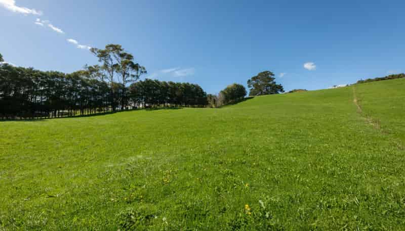 730 Waitawheta Road, Waihi