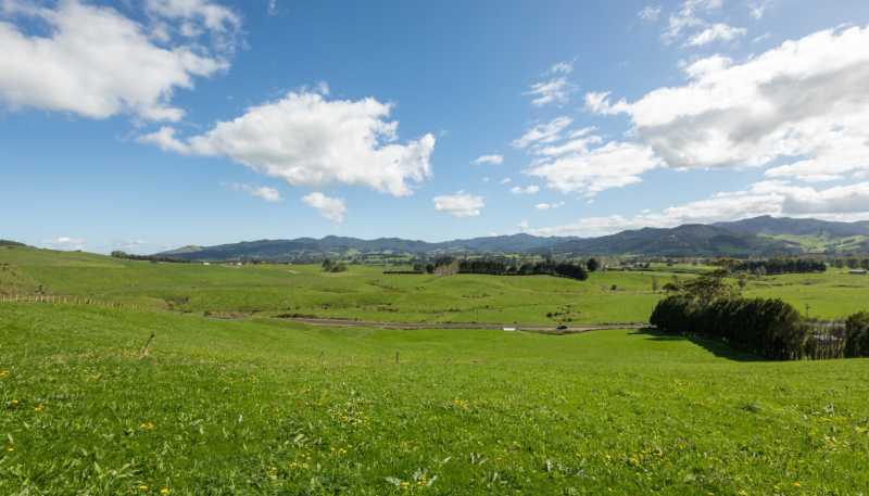 730 Waitawheta Road, Waihi