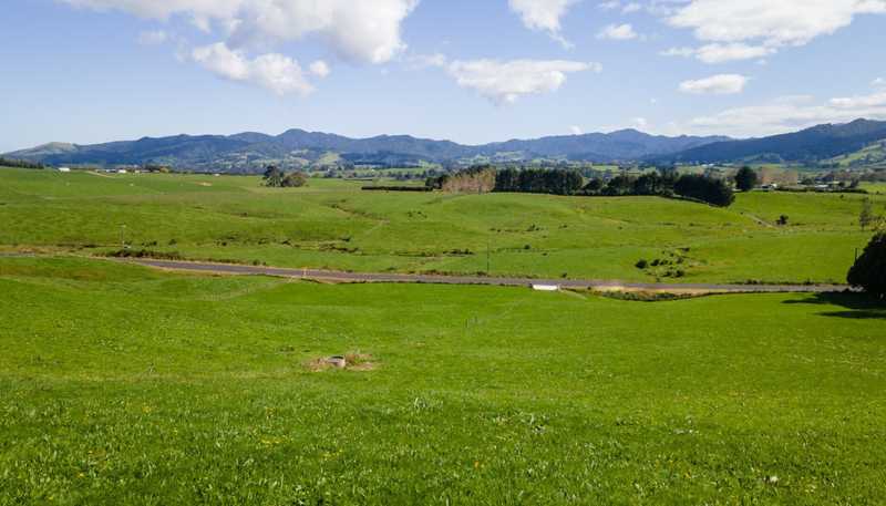 730 Waitawheta Road, Waihi