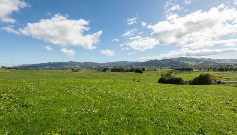 730 Waitawheta Road, Waihi