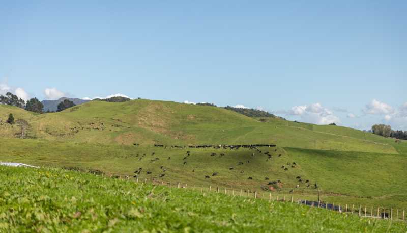 730 Waitawheta Road, Waihi