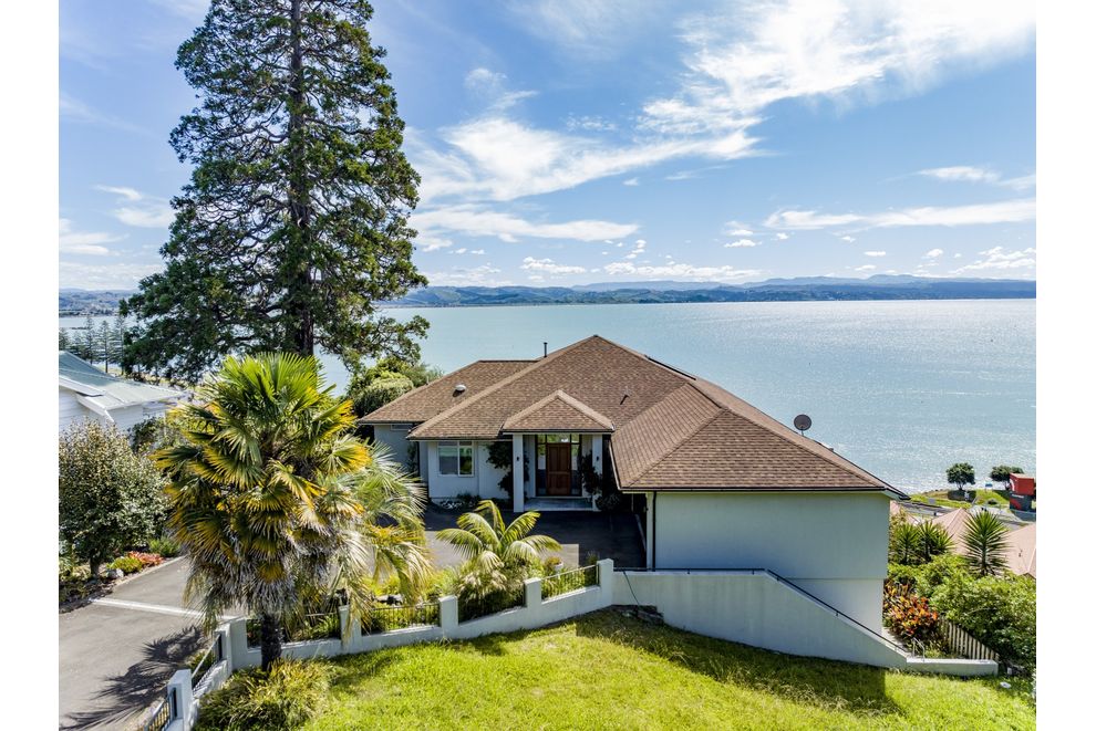 37 and 39 Seapoint Road, Bluff Hill, Napier City For Sale