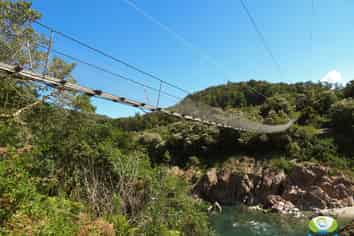 Turnkey tourism business, Buller Gorge Swingbridge