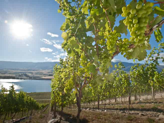 286 Lakefront Terrace, Tarras-Cromwell Road, Cromwell