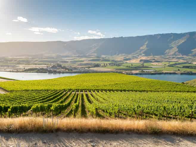 286 Lakefront Terrace, Tarras-Cromwell Road, Cromwell