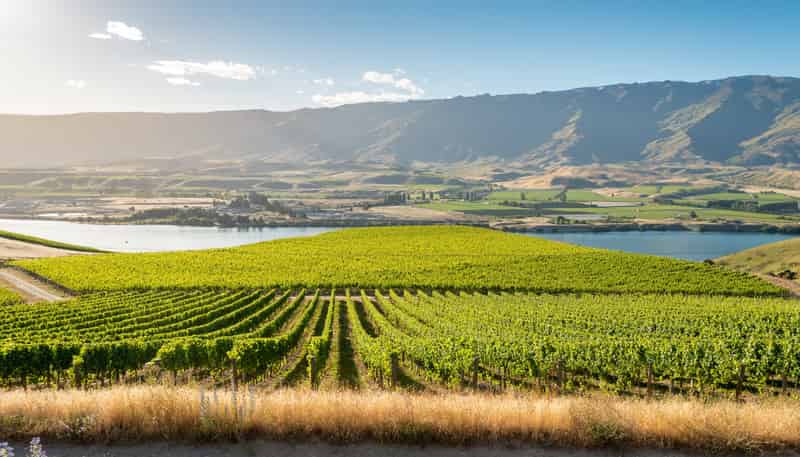 286 Lakefront Terrace, Tarras-Cromwell Road, Cromwell