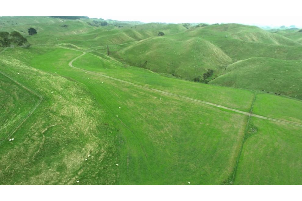 1618 Waituna Tapuae Road, Waituna West, Manawatu For Sale