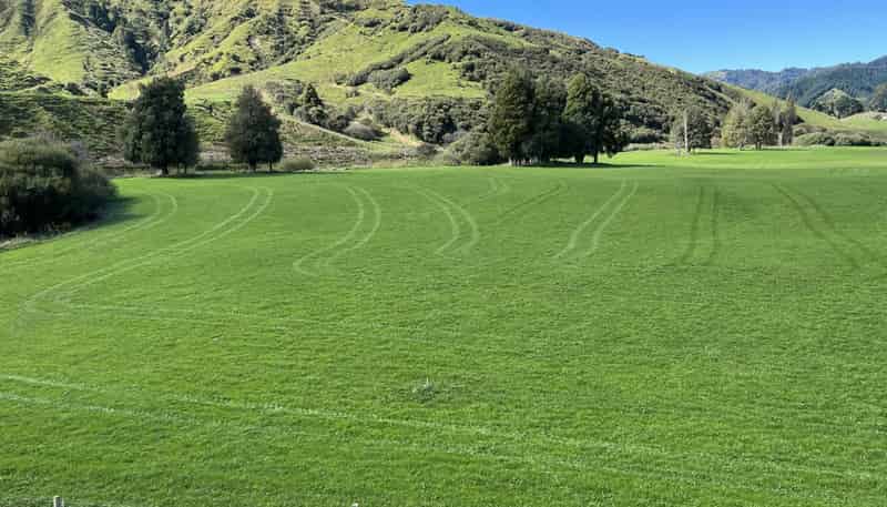 Lot 4 632 Mangaotuku Road, Tututawa