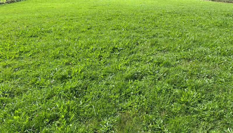 Lot 6 632 Mangaotuku Road, Tututawa