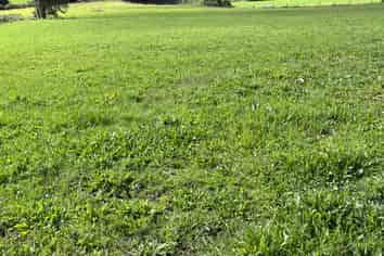 Lot 3 632 Mangaotuku Road, Tututawa