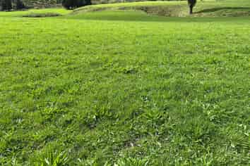 Lot 7 632 Mangaotuku Road, Tututawa