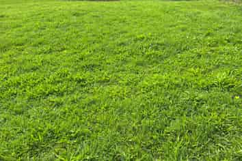 Lot 8 632 Mangaotuku Road, Tututawa