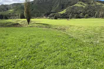 Lot 8 632 Mangaotuku Road, Tututawa