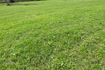 Lot 9 632 Mangaotuku Road, Tututawa