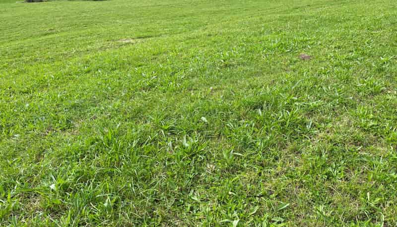 Lot 9 632 Mangaotuku Road, Tututawa