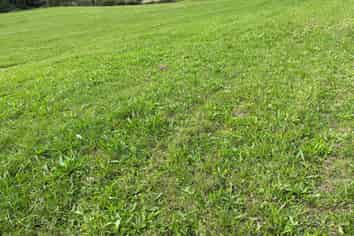 Lot 9 632 Mangaotuku Road, Tututawa