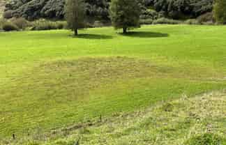 Lot 10 632 Mangaotuku Road, Tututawa