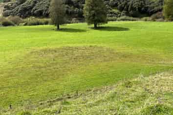 Lot 10 632 Mangaotuku Road, Tututawa