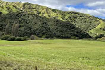 Lot 11 632 Mangaotuku Road, Tututawa