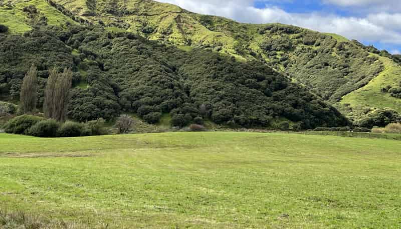 Lot 11 632 Mangaotuku Road, Tututawa