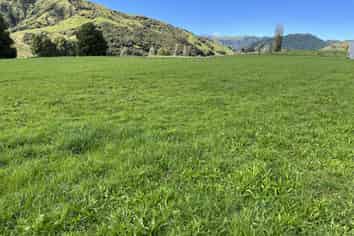 Lot 5 632 Mangaotuku Road, Tututawa