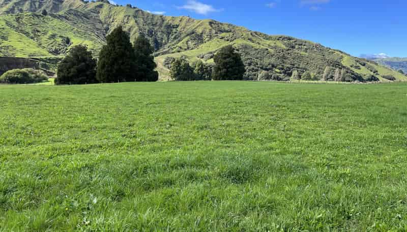 Lot 5 632 Mangaotuku Road, Tututawa