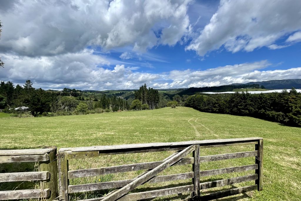 Property value 262 Wainui South Road, Whakamarama realestate.co.nz