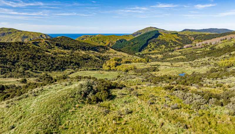 970 Tora Road, Martinborough