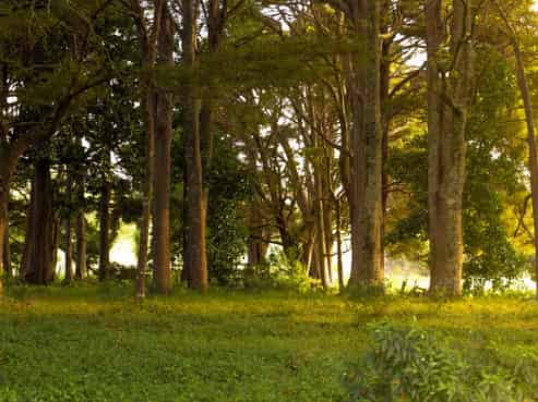 572 Woodcocks Road, Warkworth