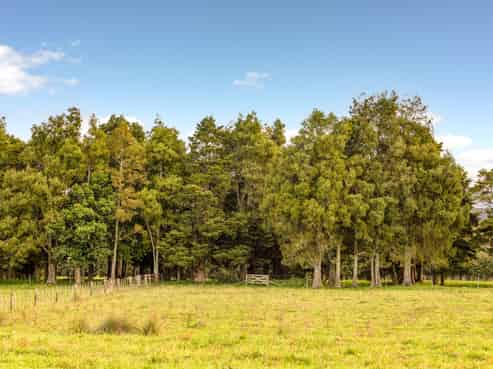 572 Woodcocks Road, Warkworth