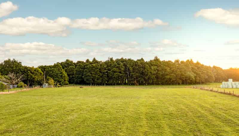 572 Woodcocks Road, Warkworth