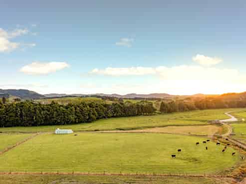572 Woodcocks Road, Warkworth