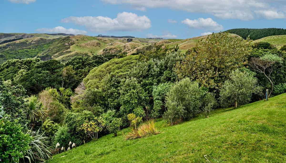 97F Muri Road, Pukerua Bay, Porirua City For Sale realestate.co.nz