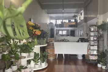 Character filled space in Taradale