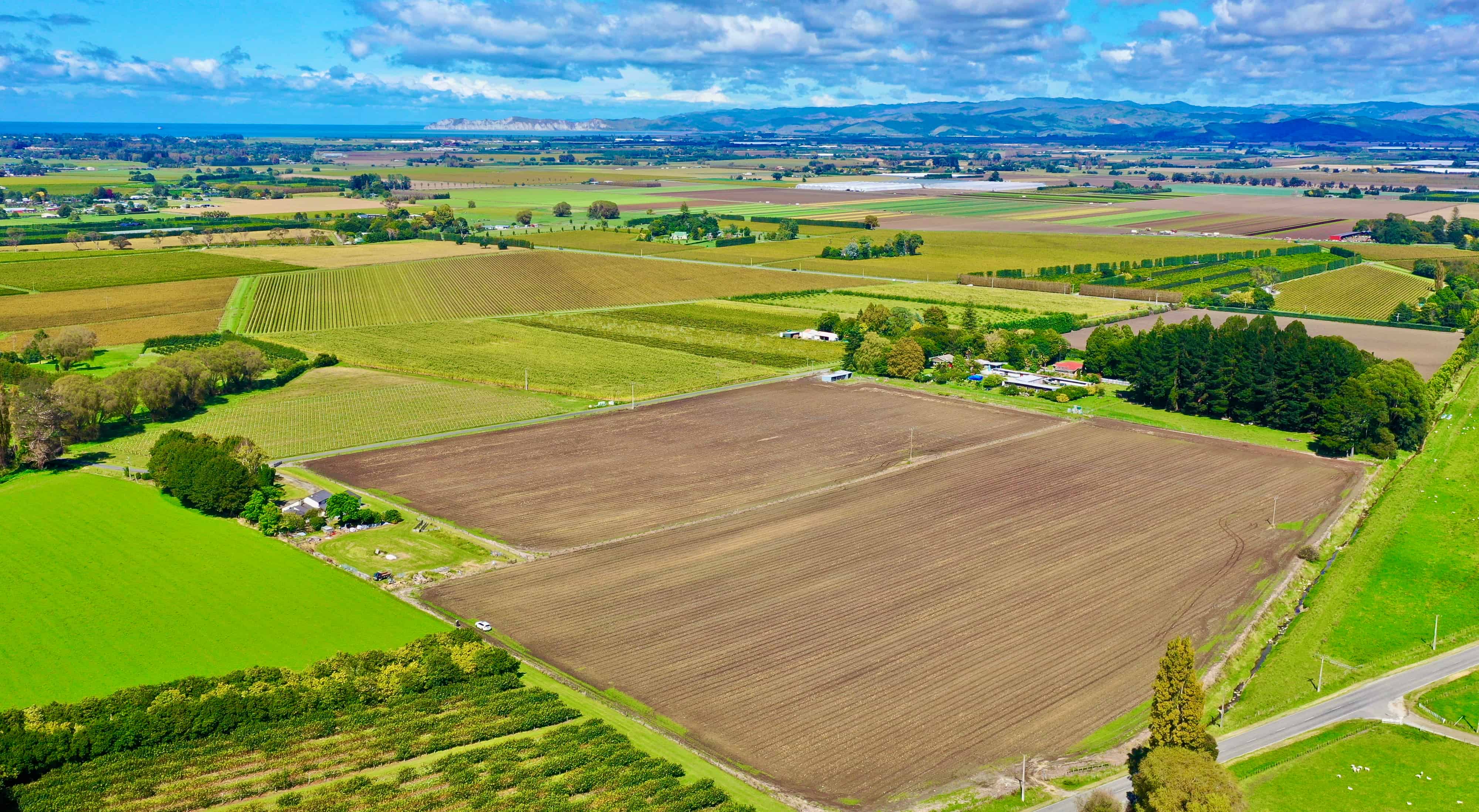2/1 Waimata Valley Road, Hexton, Gisborne For Sale realestate.co.nz