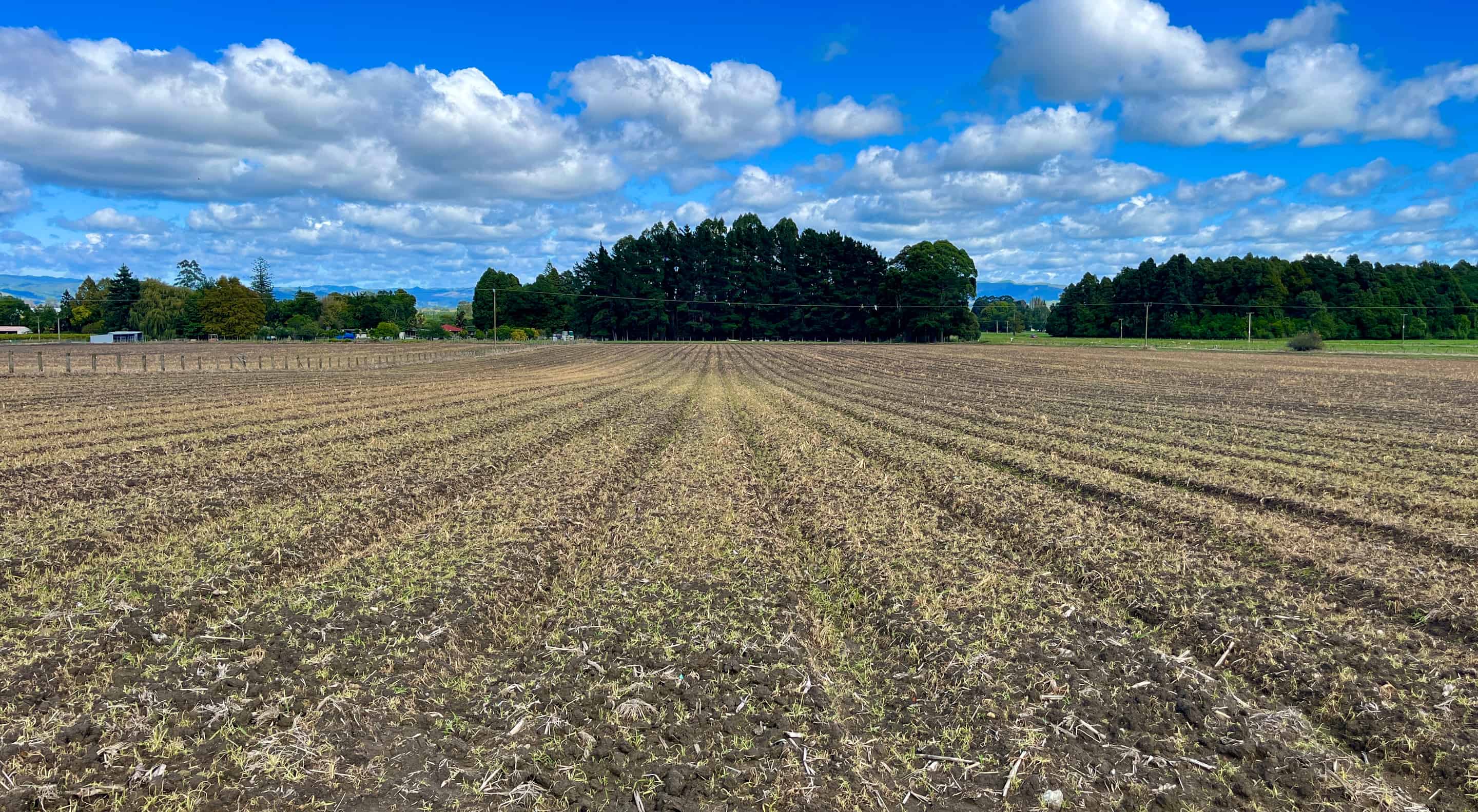 2/1 Waimata Valley Road, Hexton, Gisborne For Sale realestate.co.nz