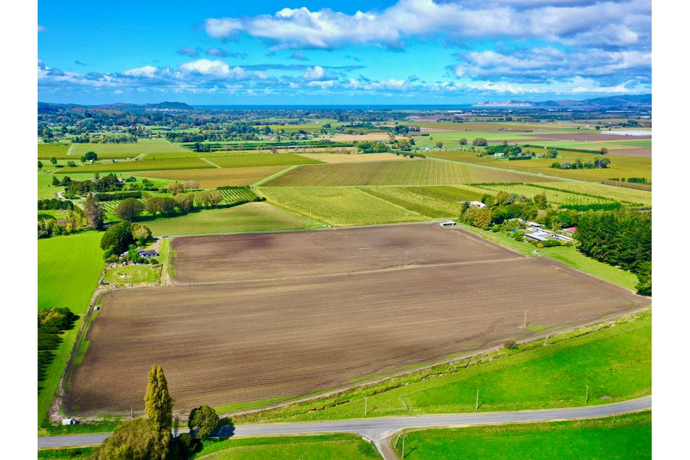 2/1 Waimata Valley Road, Hexton, Gisborne For Sale realestate.co.nz