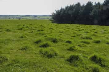 22 Davidson Road, Wyndham