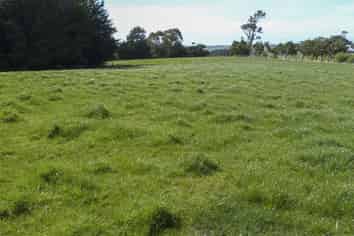 22 Davidson Road, Wyndham