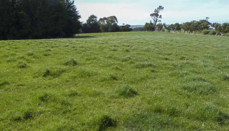 22 Davidson Road, Wyndham