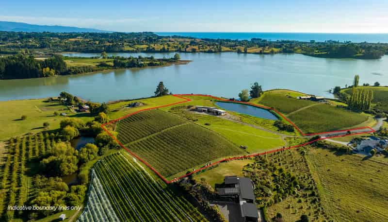 46 Cardno Way, Bronte