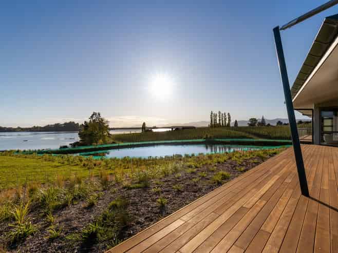 46 Cardno Way, Bronte