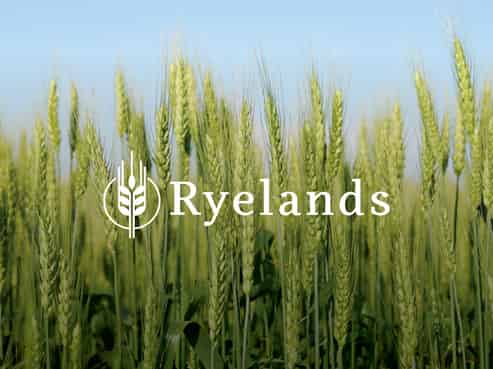   Ryelands, Darfield