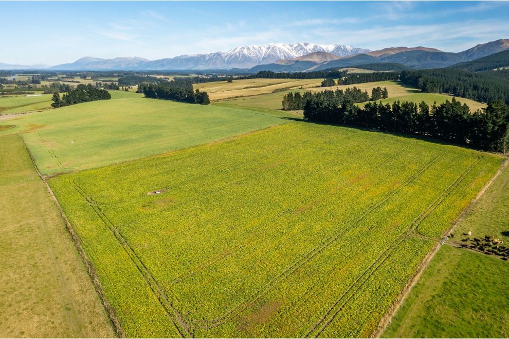 183 Davies Road and Windwhistle Road, Hororata, Selwyn For Sale