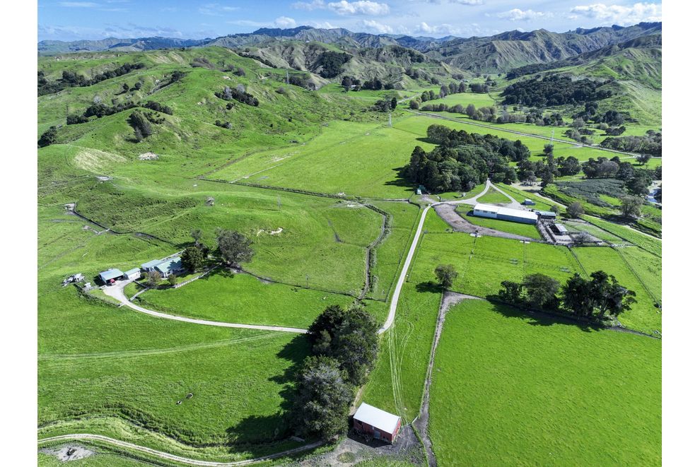 236 Glenroy Road, Whangara, Gisborne For Sale realestate.co.nz