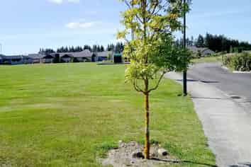  Grace Ireland Drive, Methven
