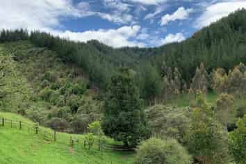 864 Puniwhakau Road, Puniwhakau