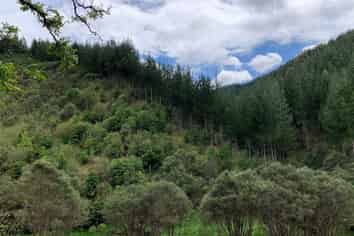864 Puniwhakau Road, Puniwhakau