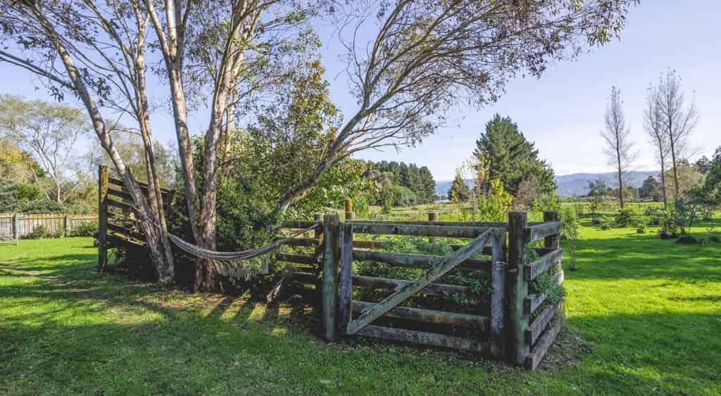 38 Clifton Avenue, Carterton, Carterton For Sale realestate.co.nz
